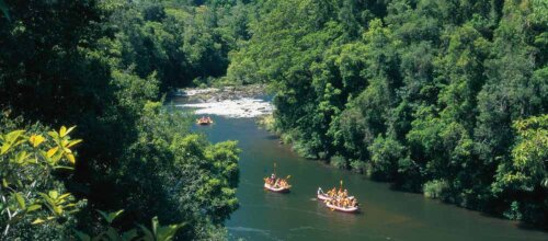 Tully River rafting through rainforest