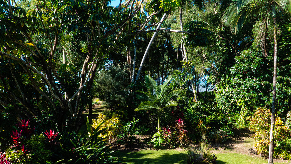 The Beachie garden