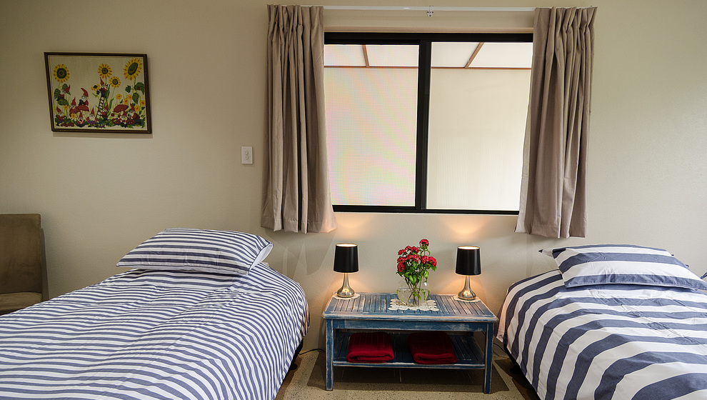 Apollo Quay apartment - Twin bedroom