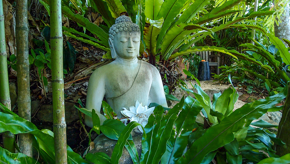 Touch of Bali - Patio garden