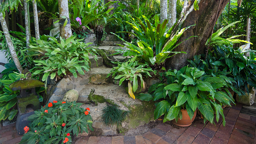 Touch of Bali - Patio garden
