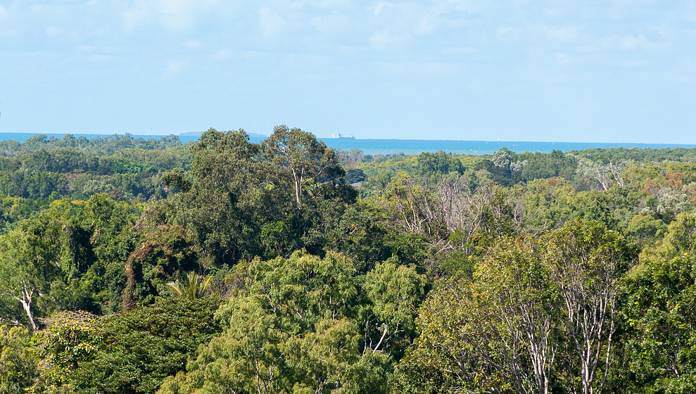 Touch of Bali - View of coastline