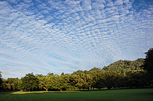 Mackerel sky over Goomboora Park
