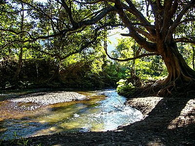 Freshwater Creek, Goomboora Park